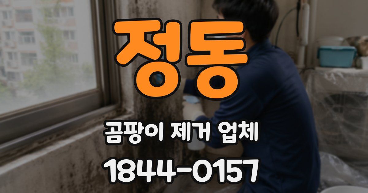 정동 곰팡이 제거 업체