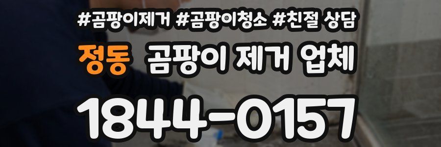 정동 곰팡이 제거 업체