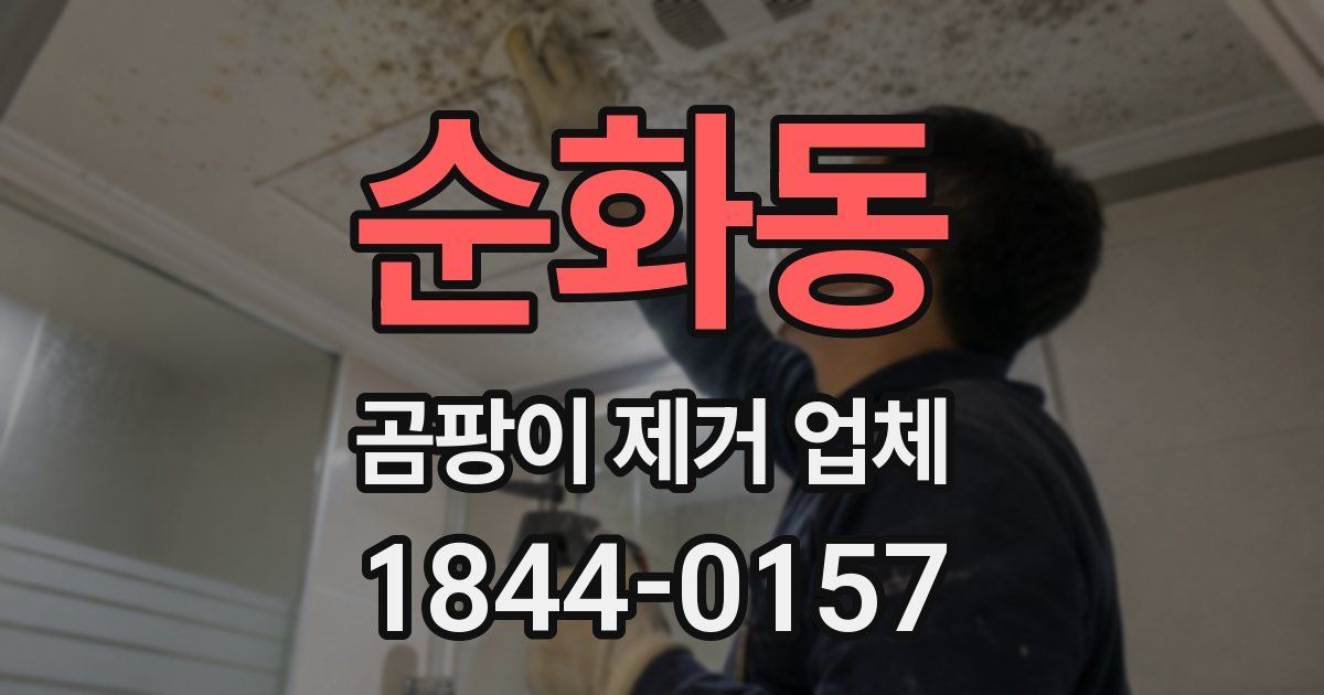 순화동 곰팡이 제거 업체