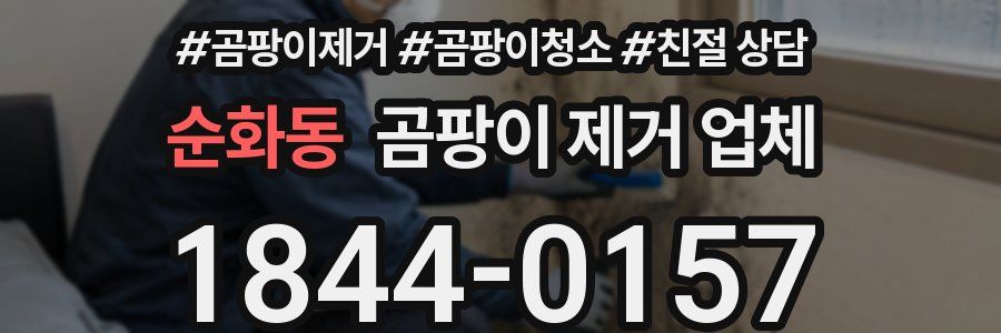 순화동 곰팡이 제거 업체