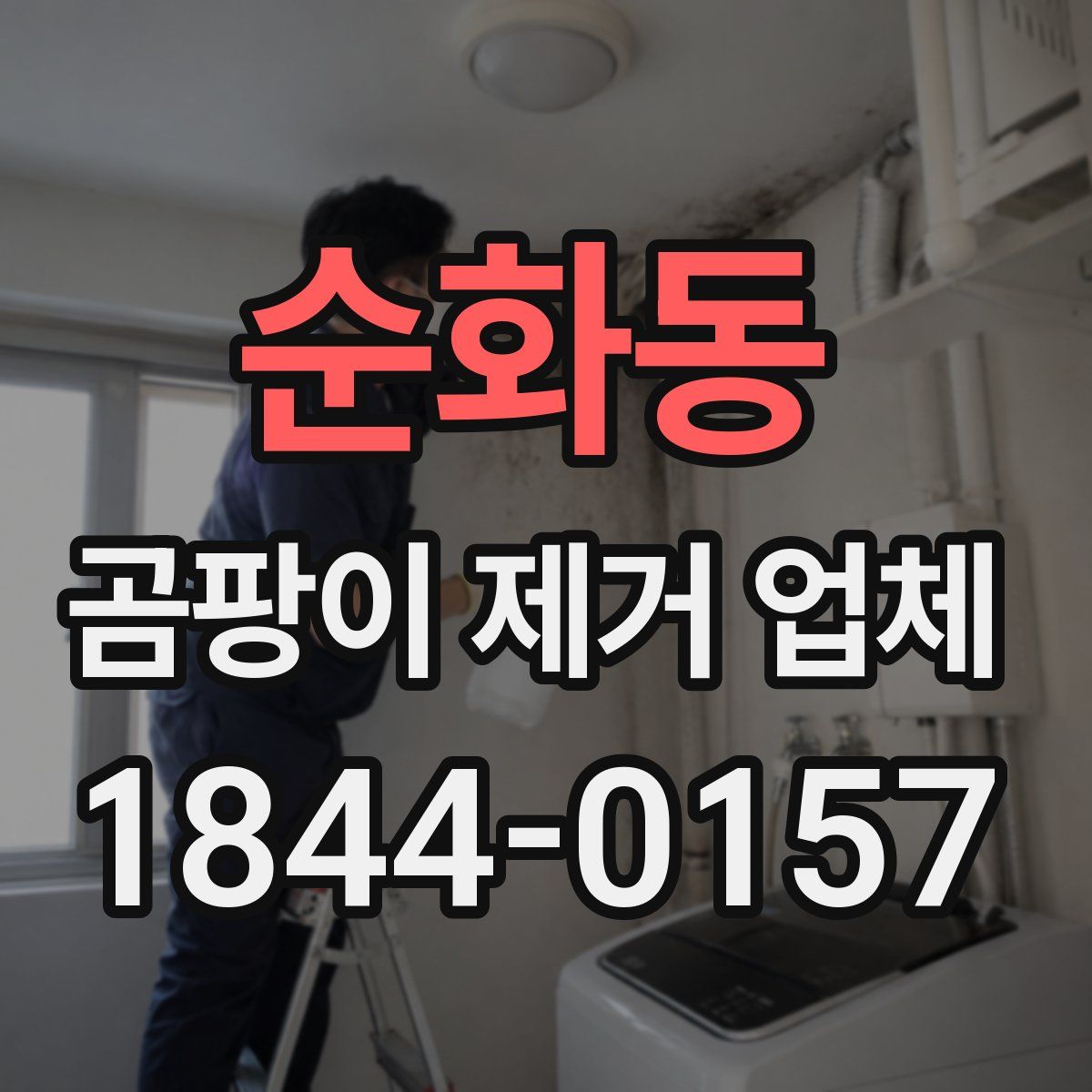 순화동 곰팡이 제거 업체