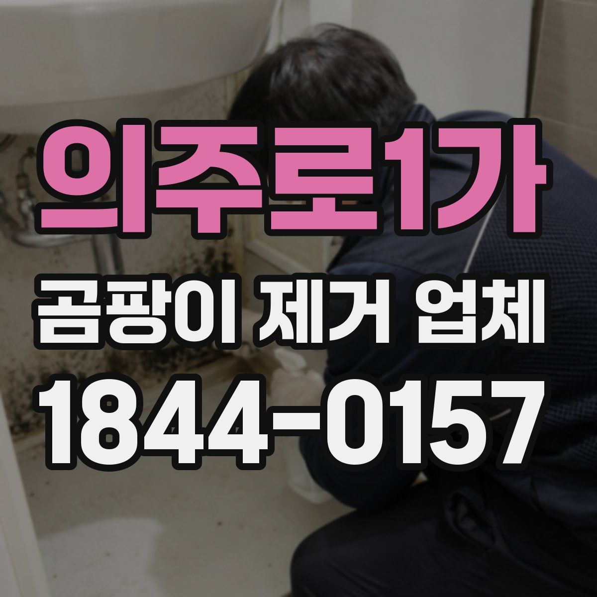 의주로1가 곰팡이 제거 업체