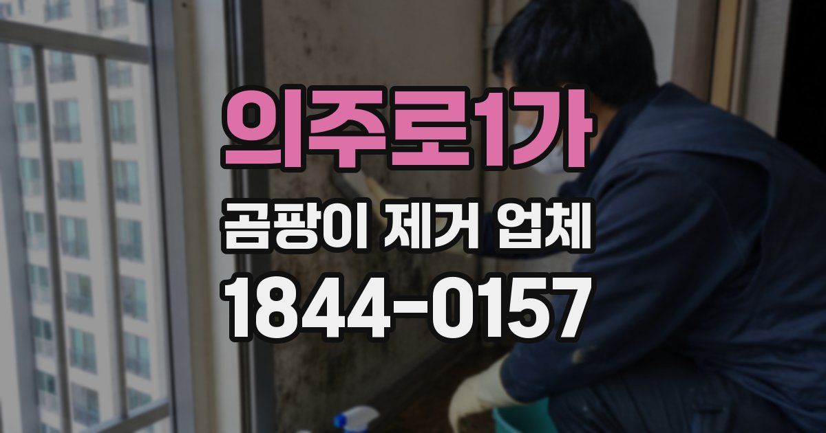 의주로1가 곰팡이 제거 업체