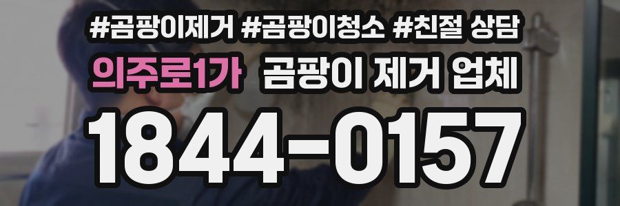 의주로1가 곰팡이 제거 업체