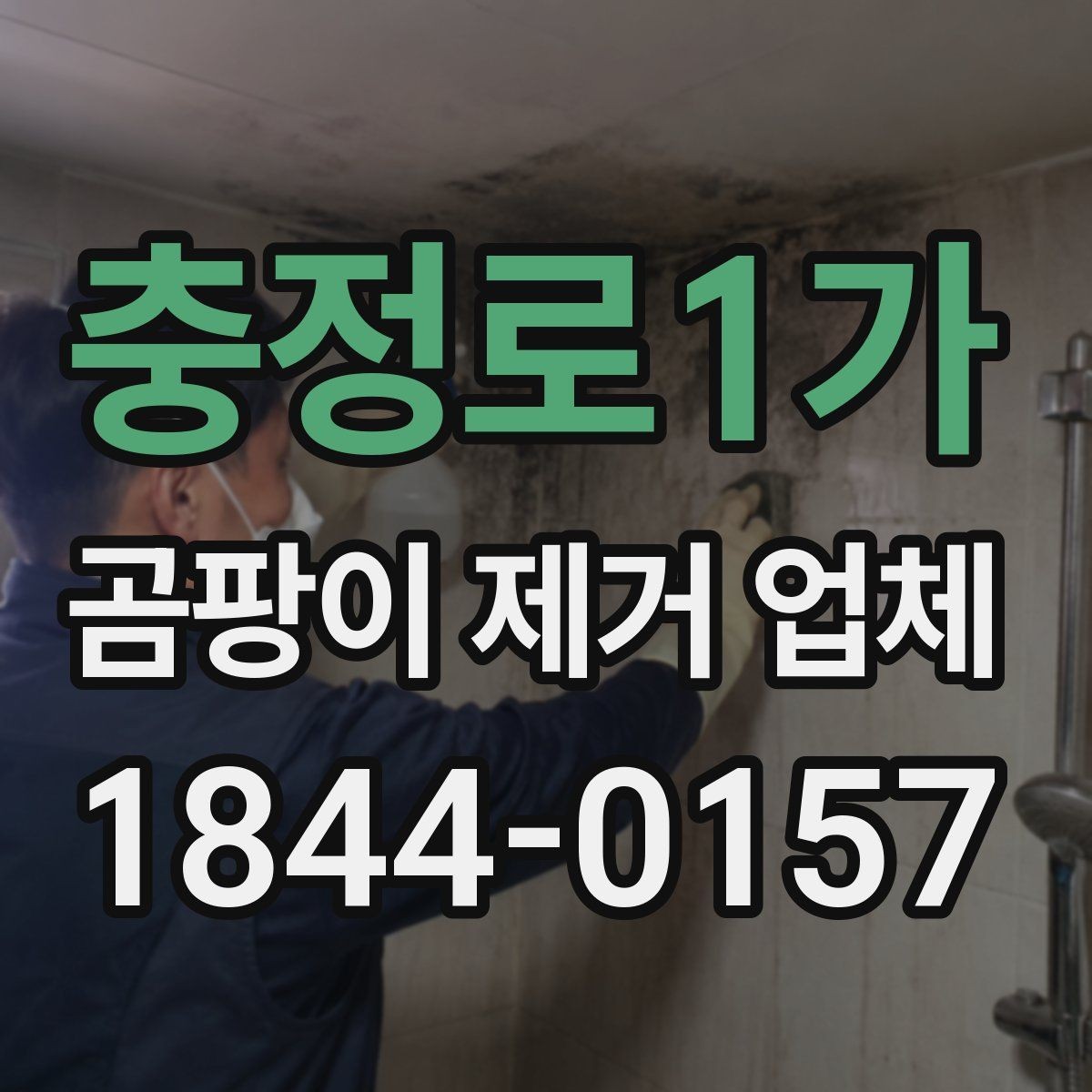충정로1가 곰팡이 제거 업체 선택 전에 알아두는 기본 절차