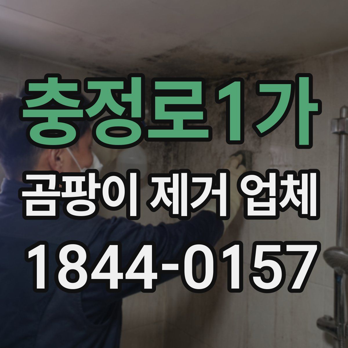 충정로1가 곰팡이 제거 업체