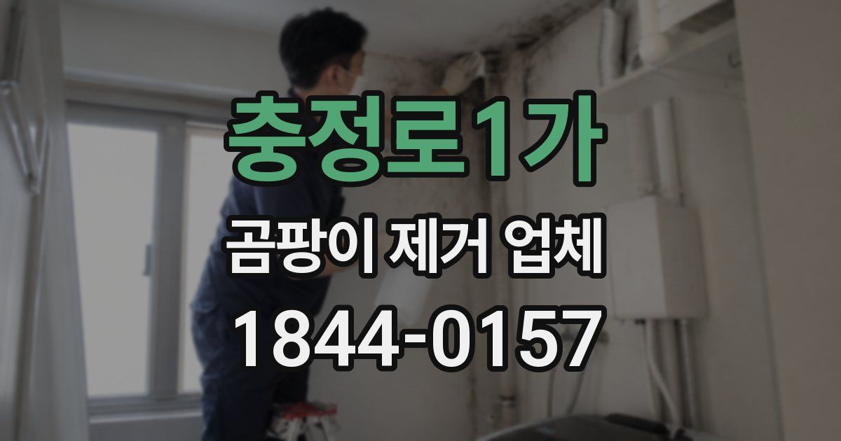 충정로1가 곰팡이 제거 업체