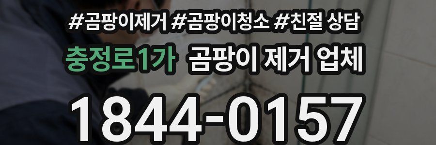 충정로1가 곰팡이 제거 업체