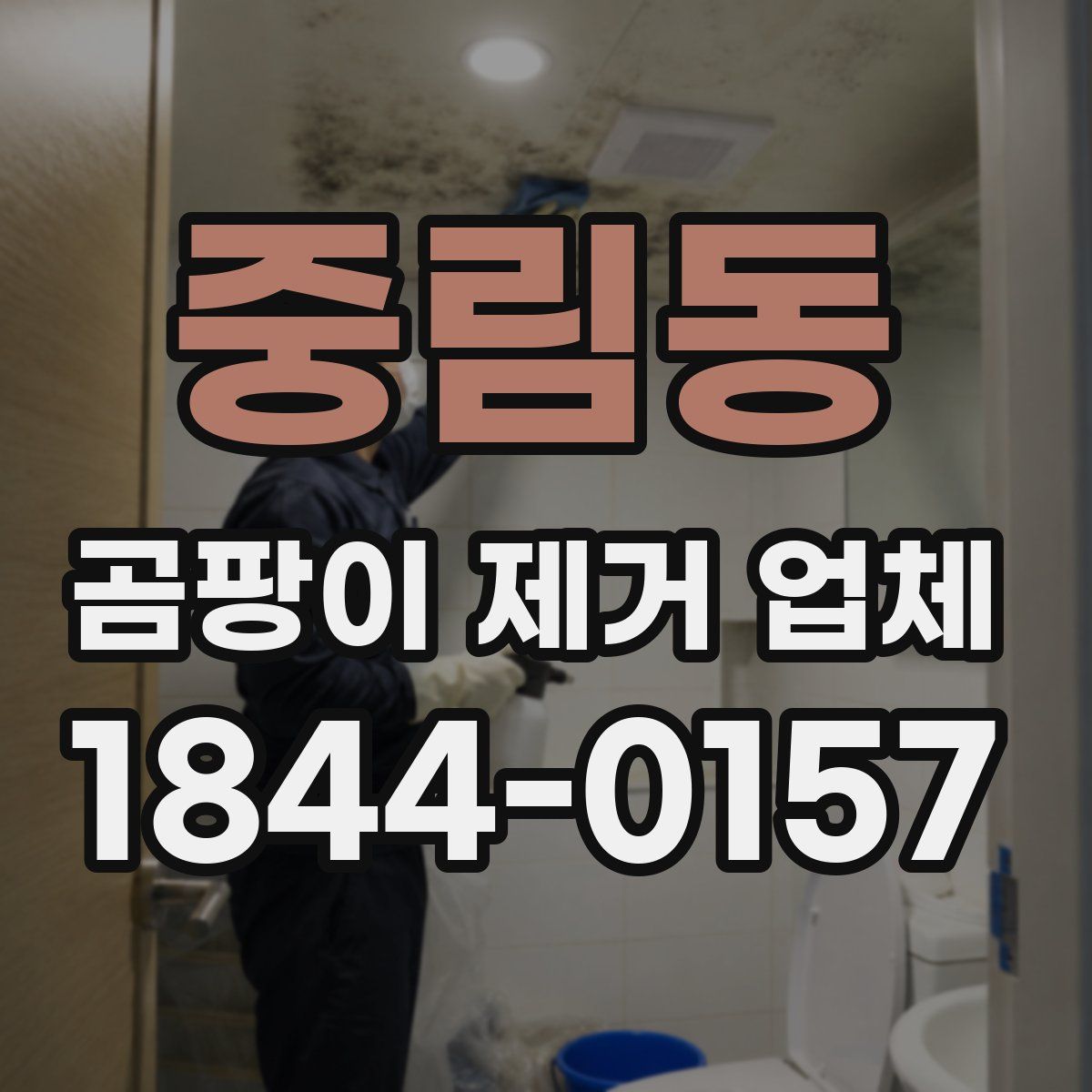 중림동 곰팡이 제거 업체