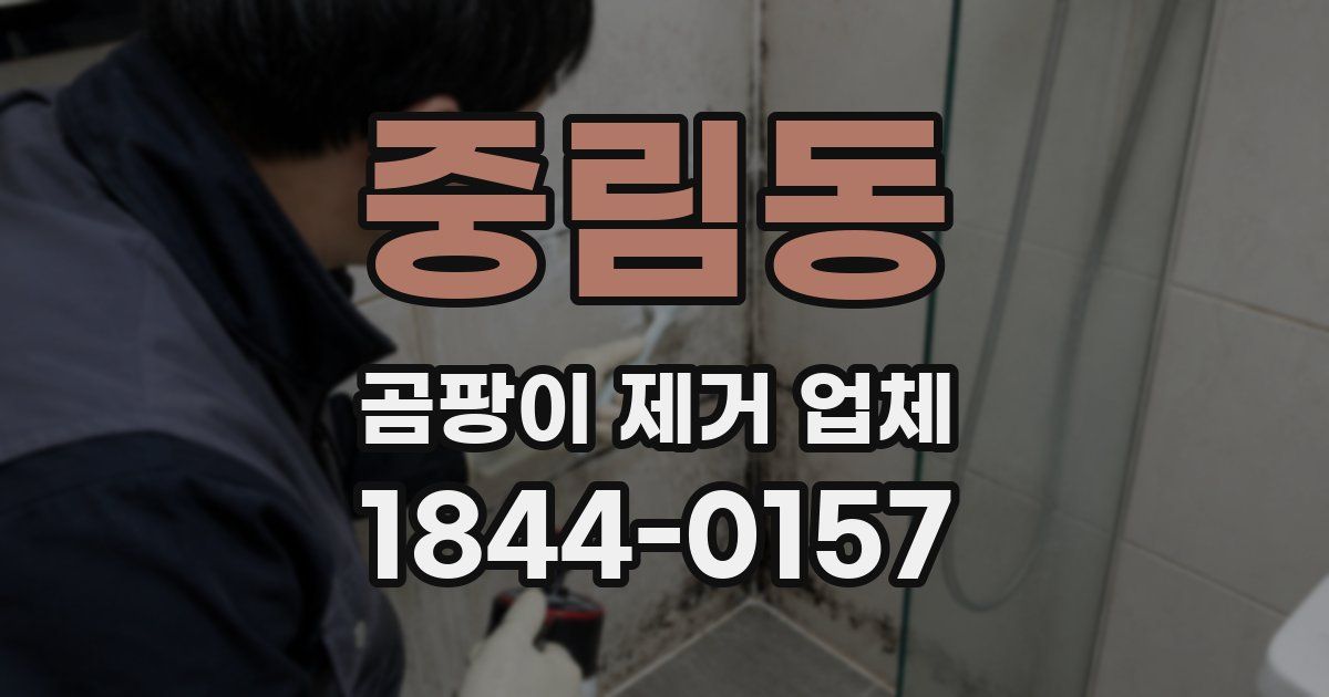 중림동 곰팡이 제거 업체