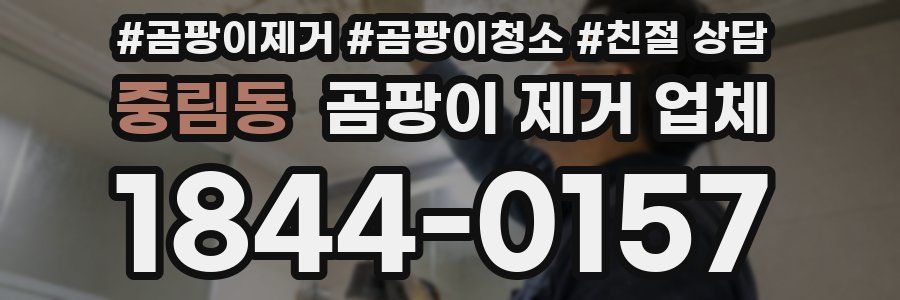 중림동 곰팡이 제거 업체