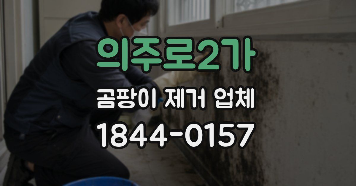 의주로2가 곰팡이 제거 업체