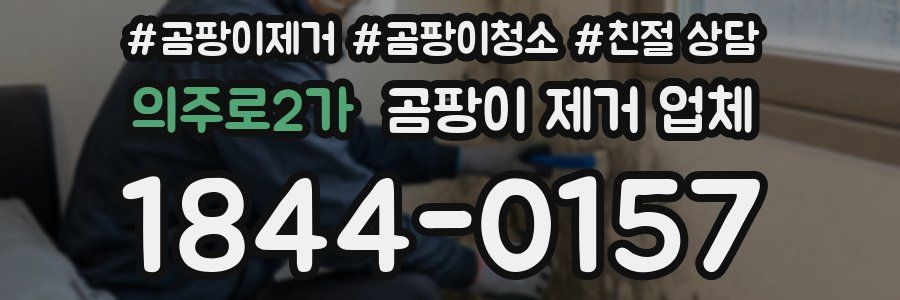 의주로2가 곰팡이 제거 업체