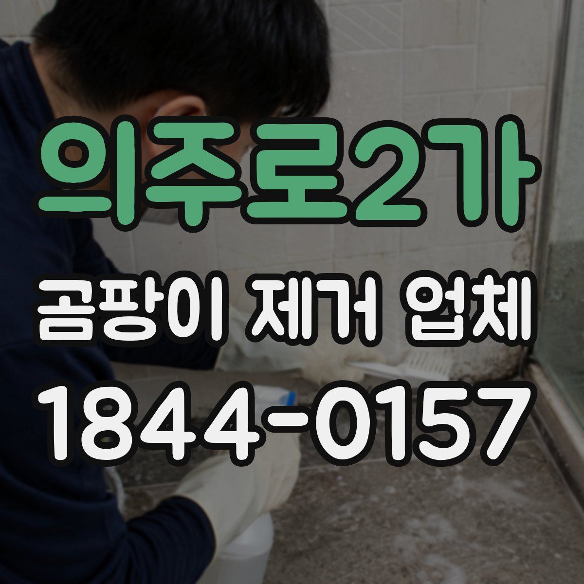 의주로2가 곰팡이 제거 업체