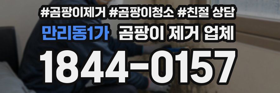 만리동1가 곰팡이 제거 업체