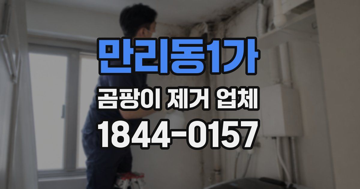 만리동1가 곰팡이 제거 업체