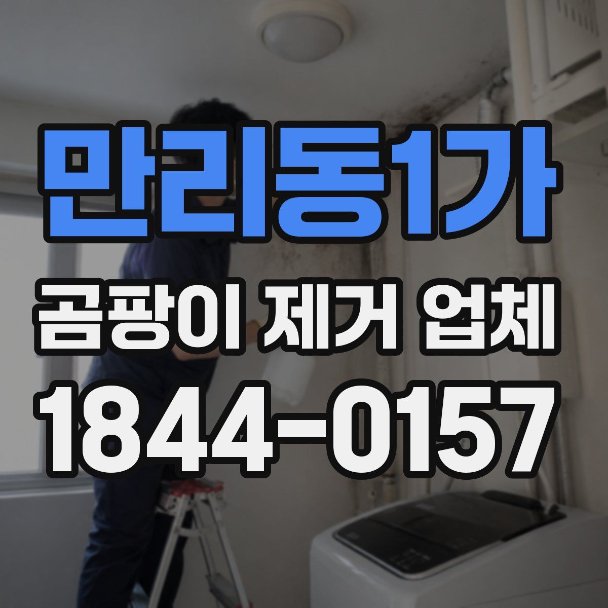 만리동1가 곰팡이 제거 업체