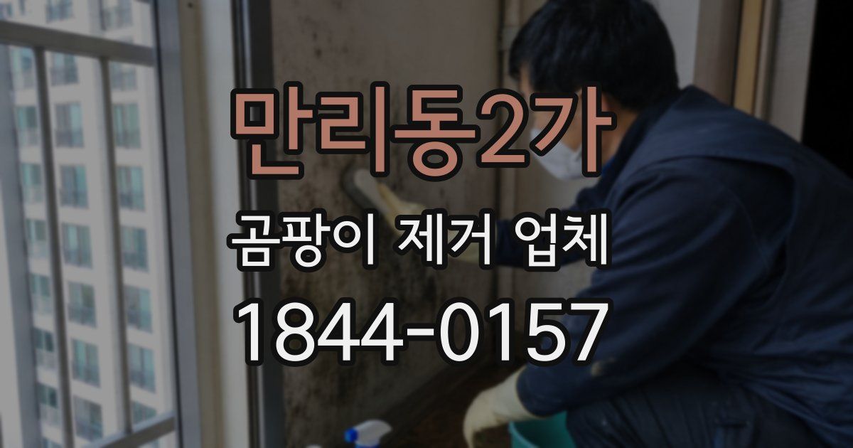 만리동2가 곰팡이 제거 업체