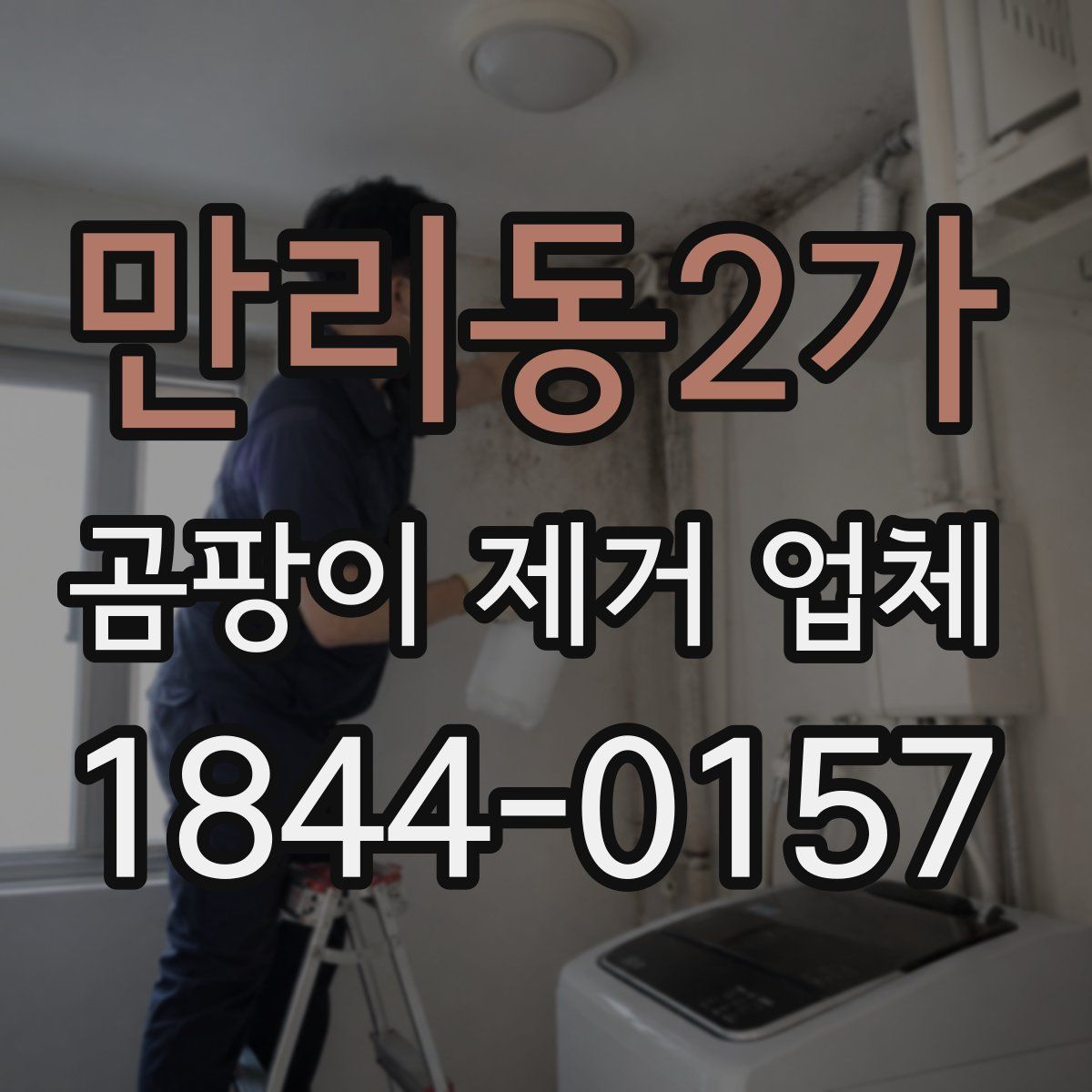 만리동2가 곰팡이 제거 업체