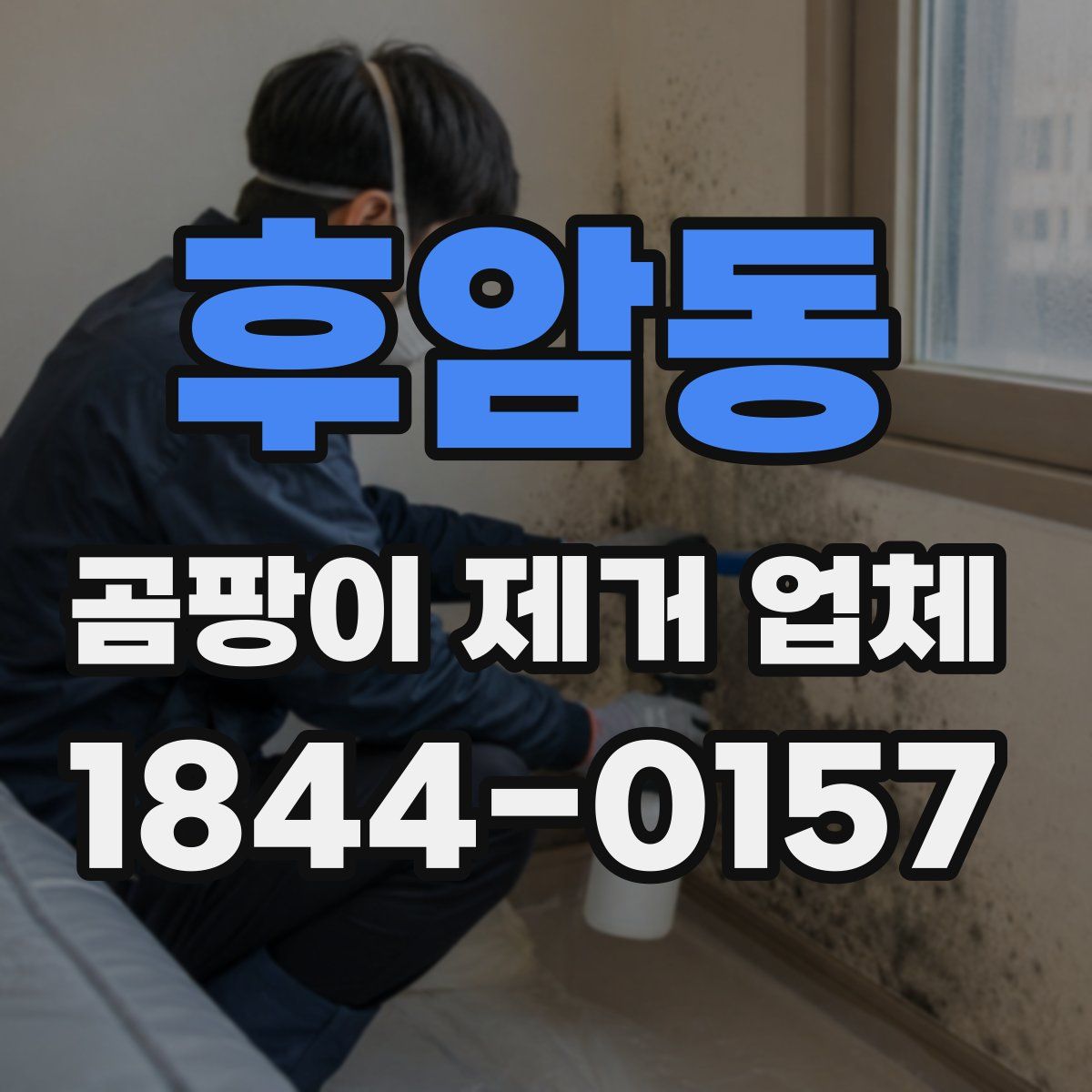 후암동 곰팡이 제거 업체