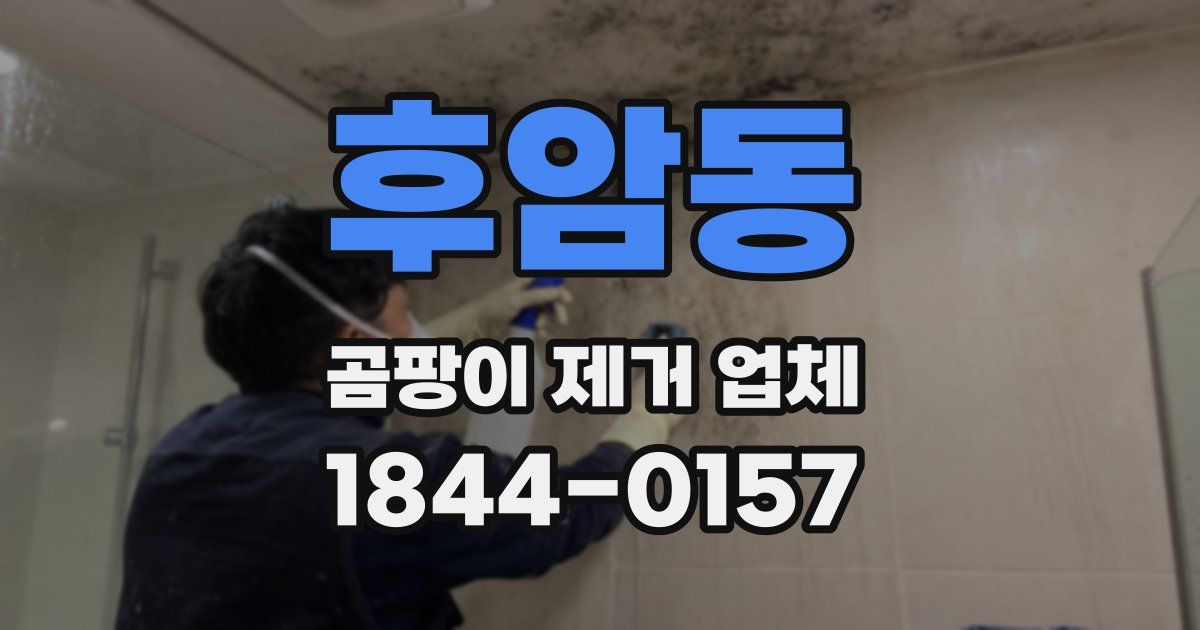 후암동 곰팡이 제거 업체