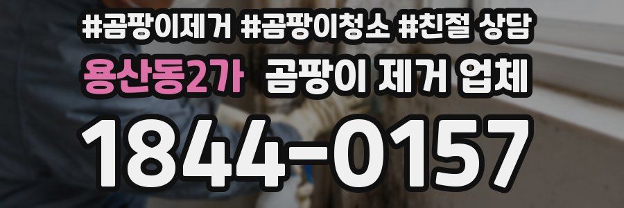 용산동2가 곰팡이 제거 업체