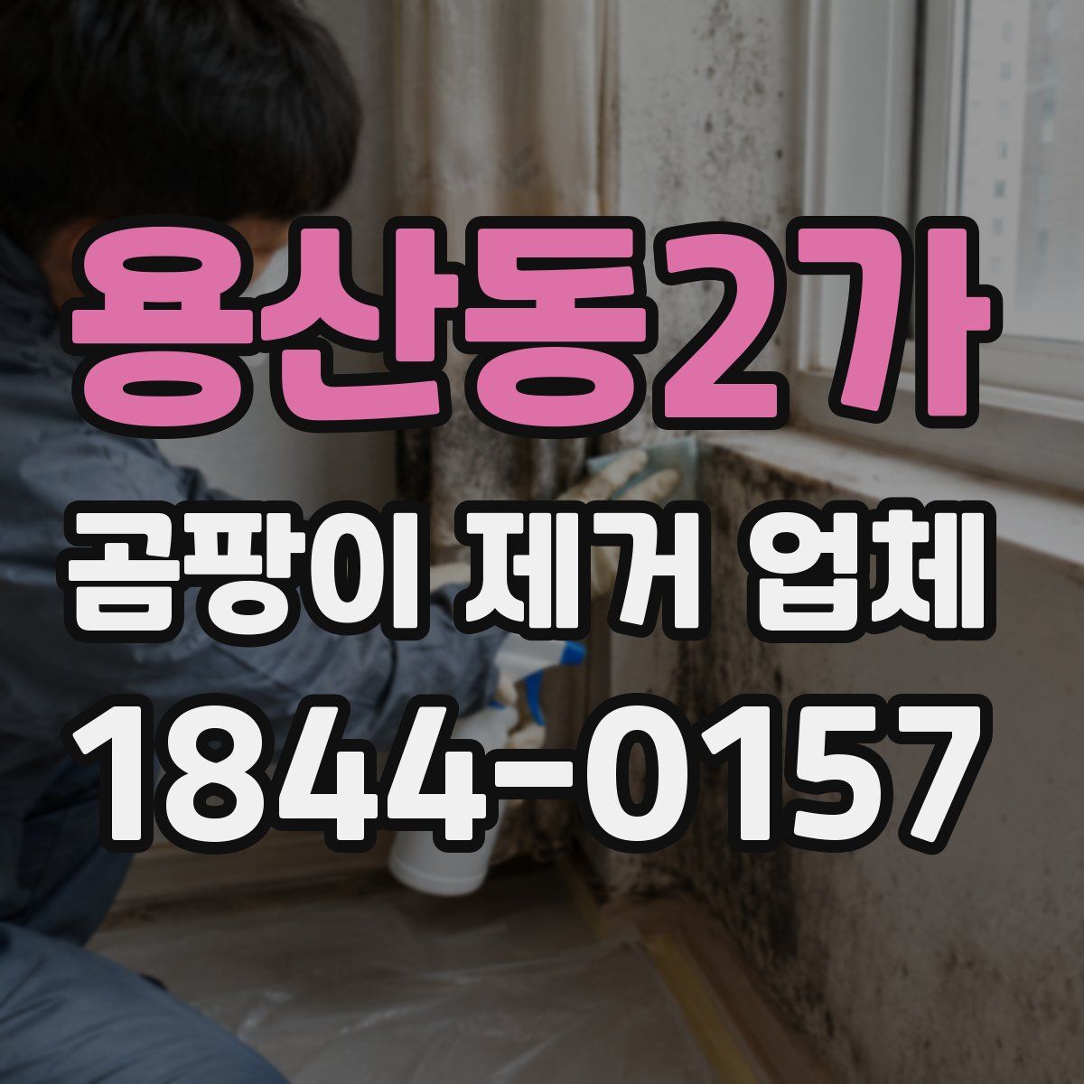 용산동2가 곰팡이 제거 업체