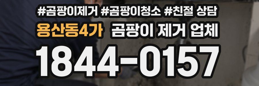 용산동4가 곰팡이 제거 업체