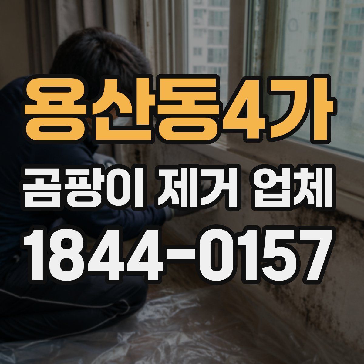 용산동4가 곰팡이 제거 업체