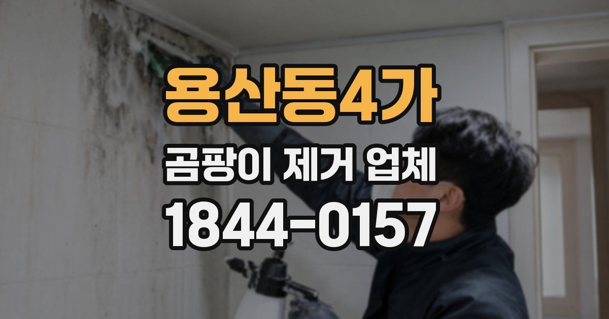 용산동4가 곰팡이 제거 업체