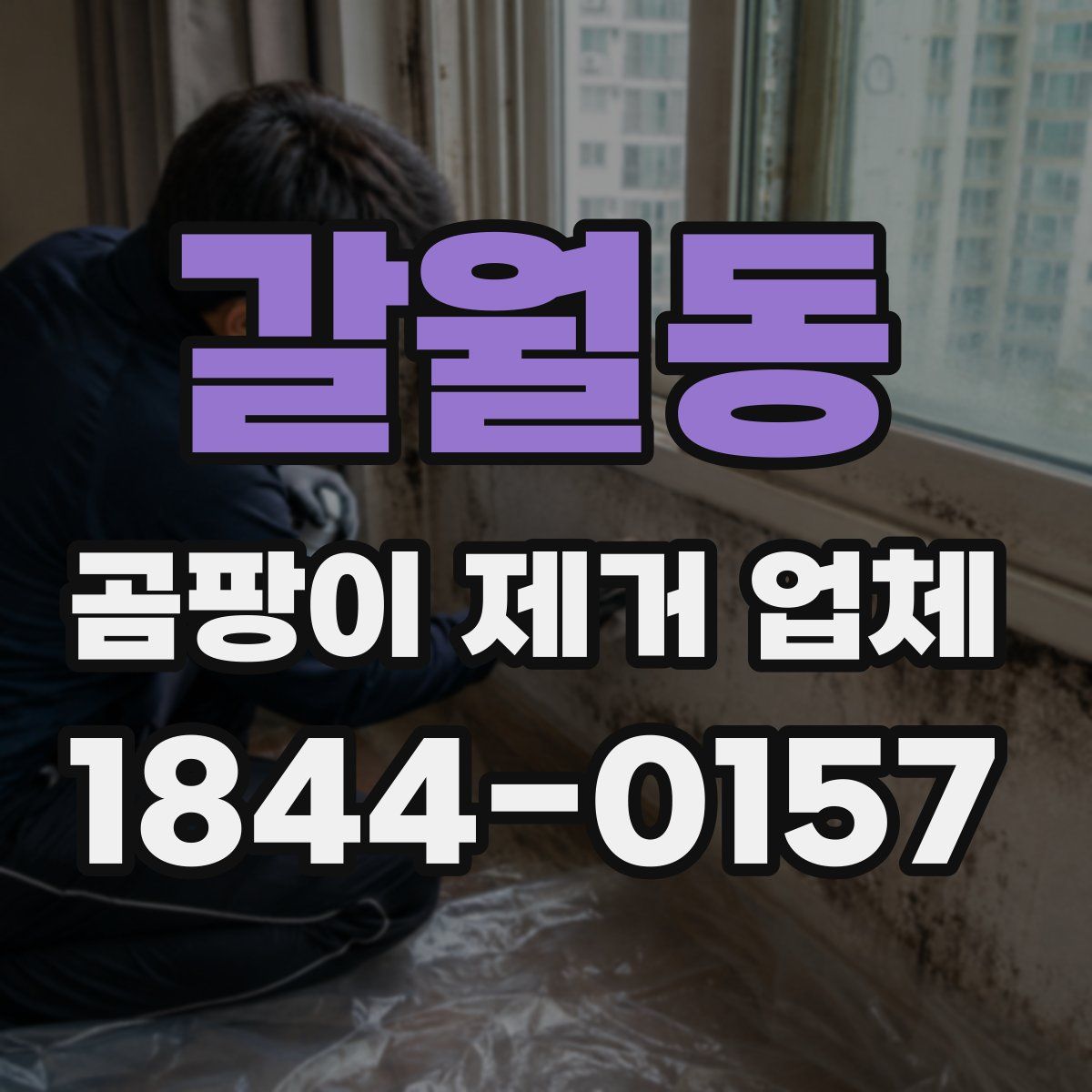갈월동 곰팡이 제거 업체