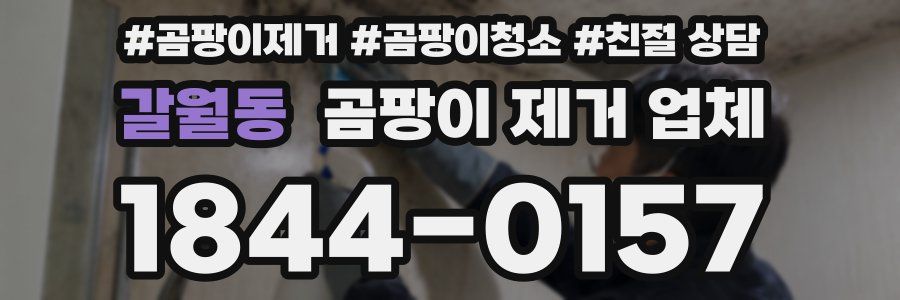 갈월동 곰팡이 제거 업체