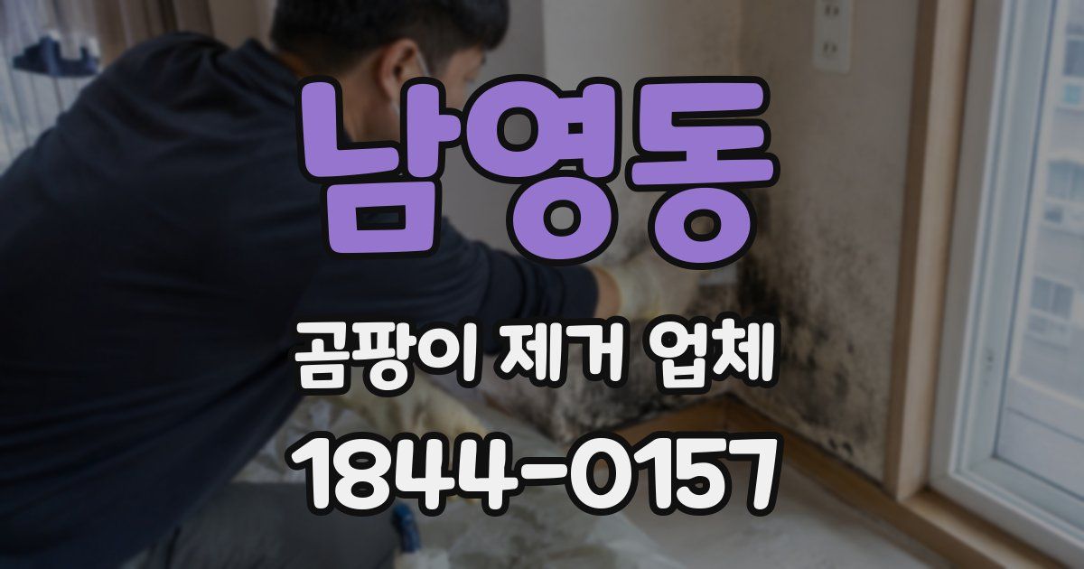 남영동 곰팡이 제거 업체