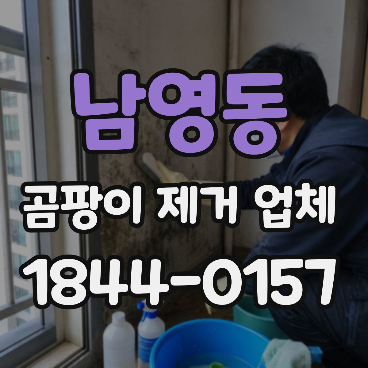 남영동 곰팡이 제거 업체