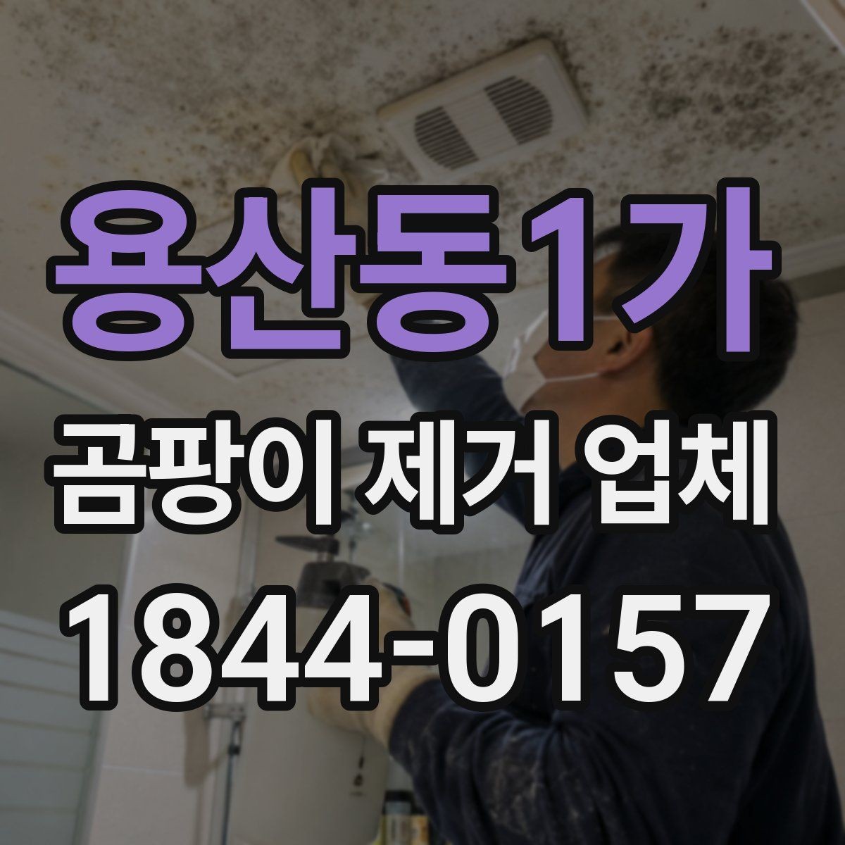 용산동1가 곰팡이 제거 업체 후기에서 실제 도움 되는 정보
