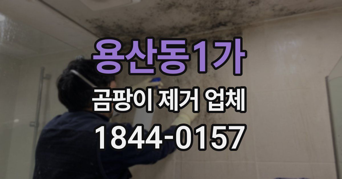 용산동1가 곰팡이 제거 업체