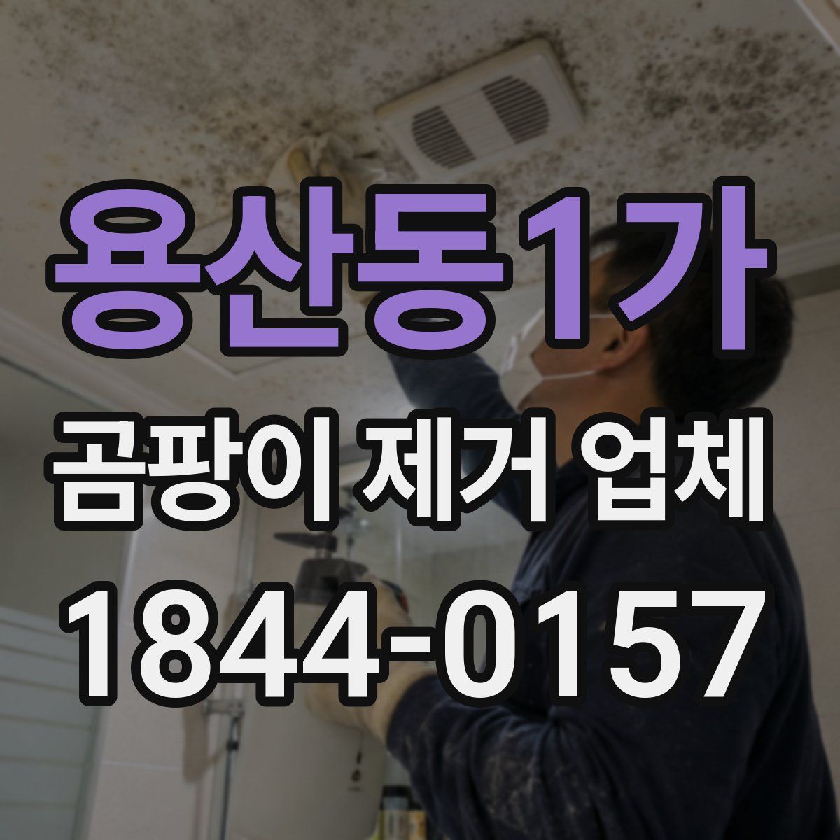 용산동1가 곰팡이 제거 업체