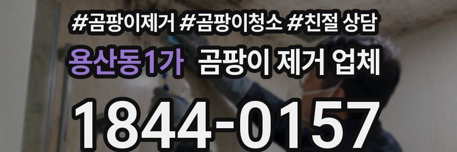 용산동1가 곰팡이 제거 업체