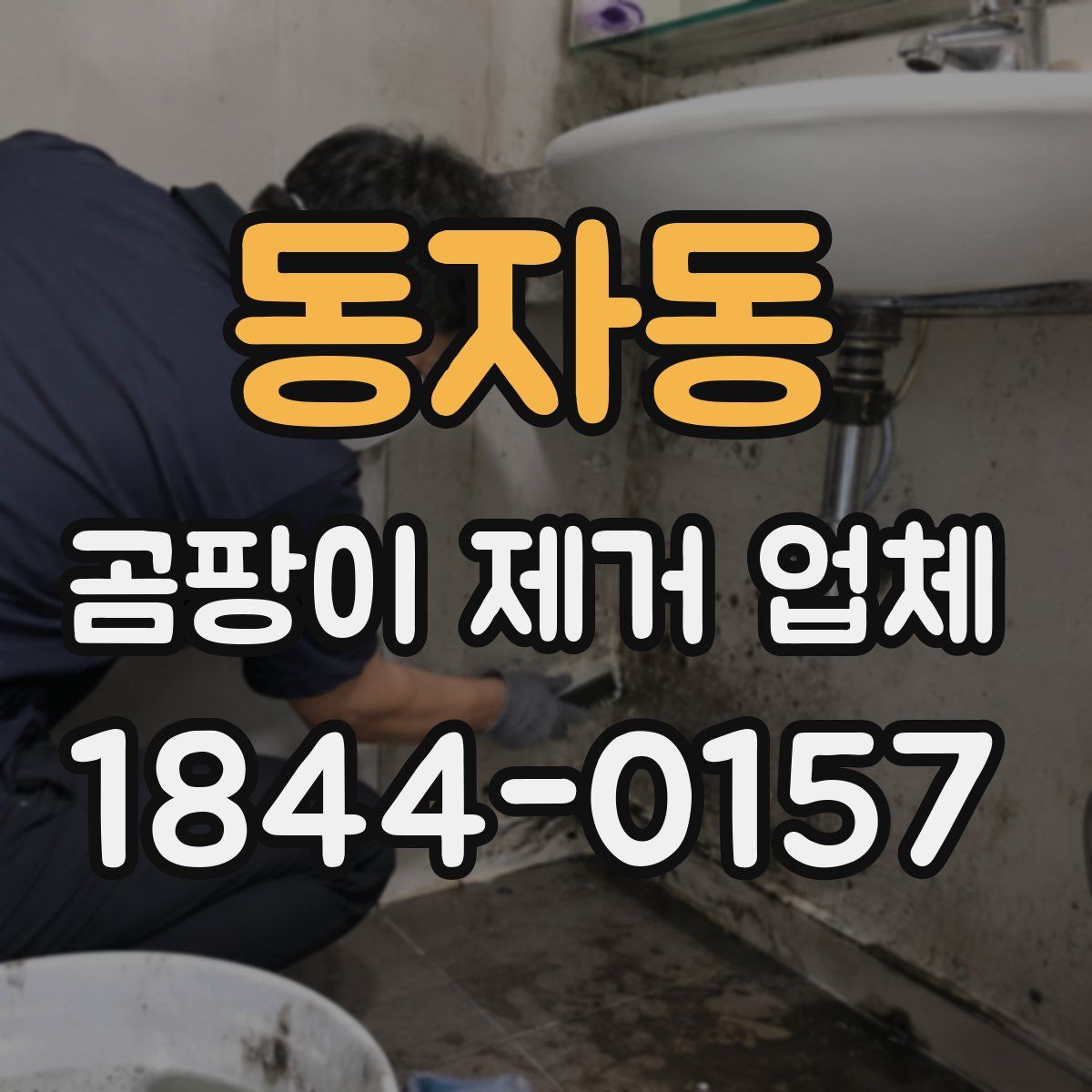 동자동 곰팡이 제거 업체