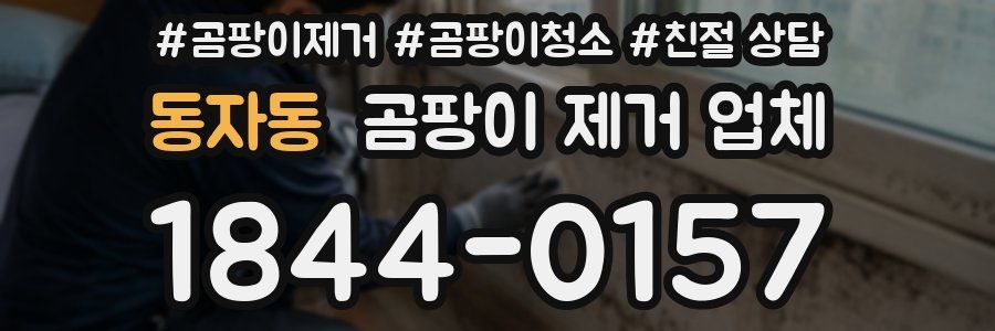 동자동 곰팡이 제거 업체