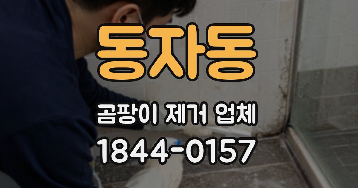 동자동 곰팡이 제거 업체