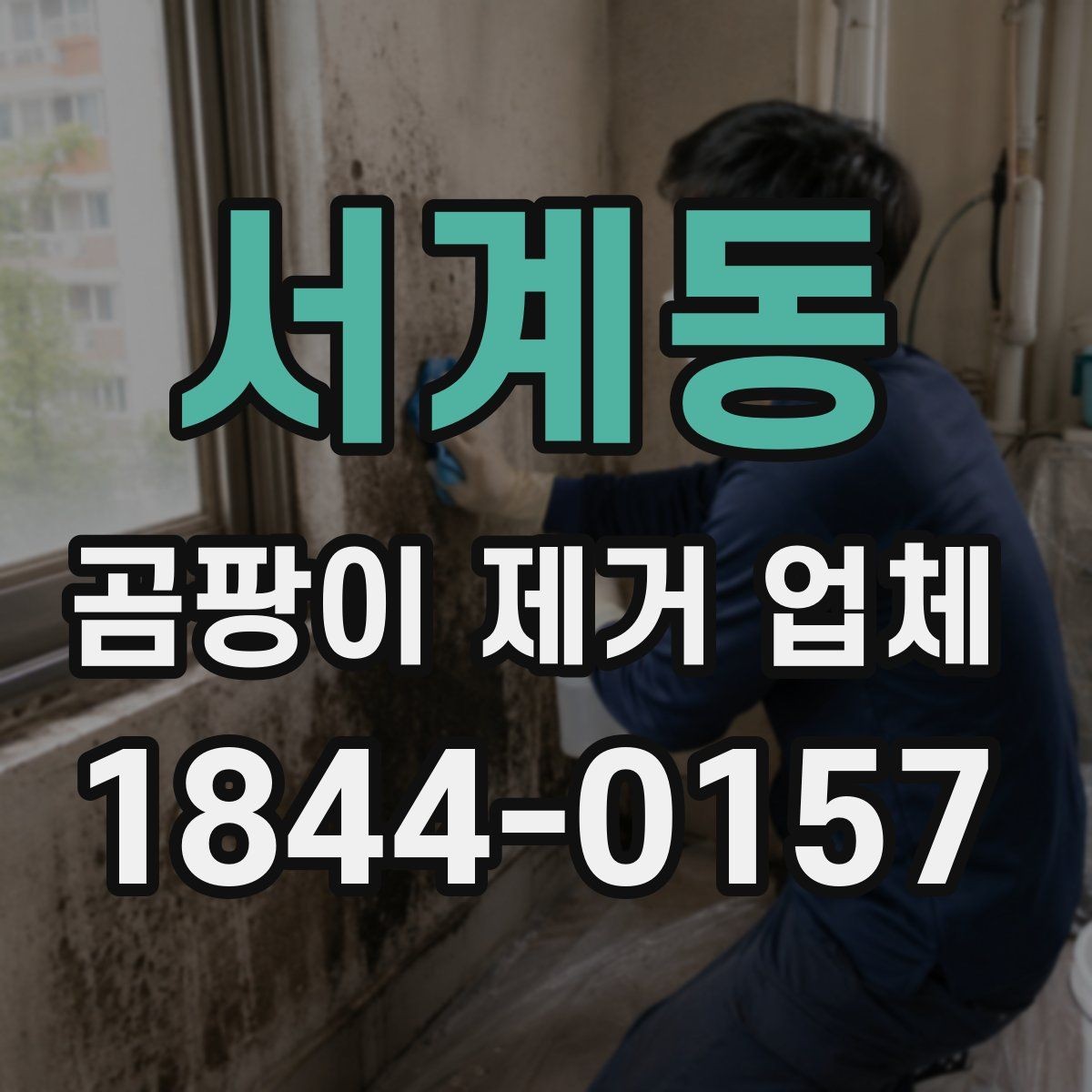 서계동 곰팡이 제거 업체 이용 후기 확인 요령