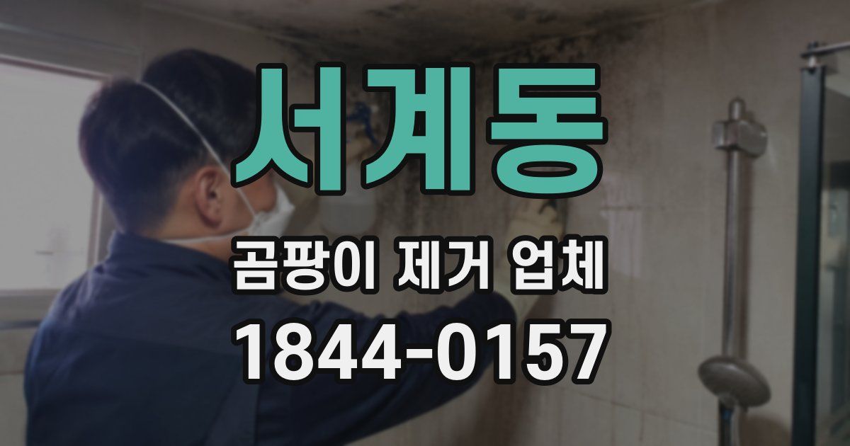 서계동 곰팡이 제거 업체