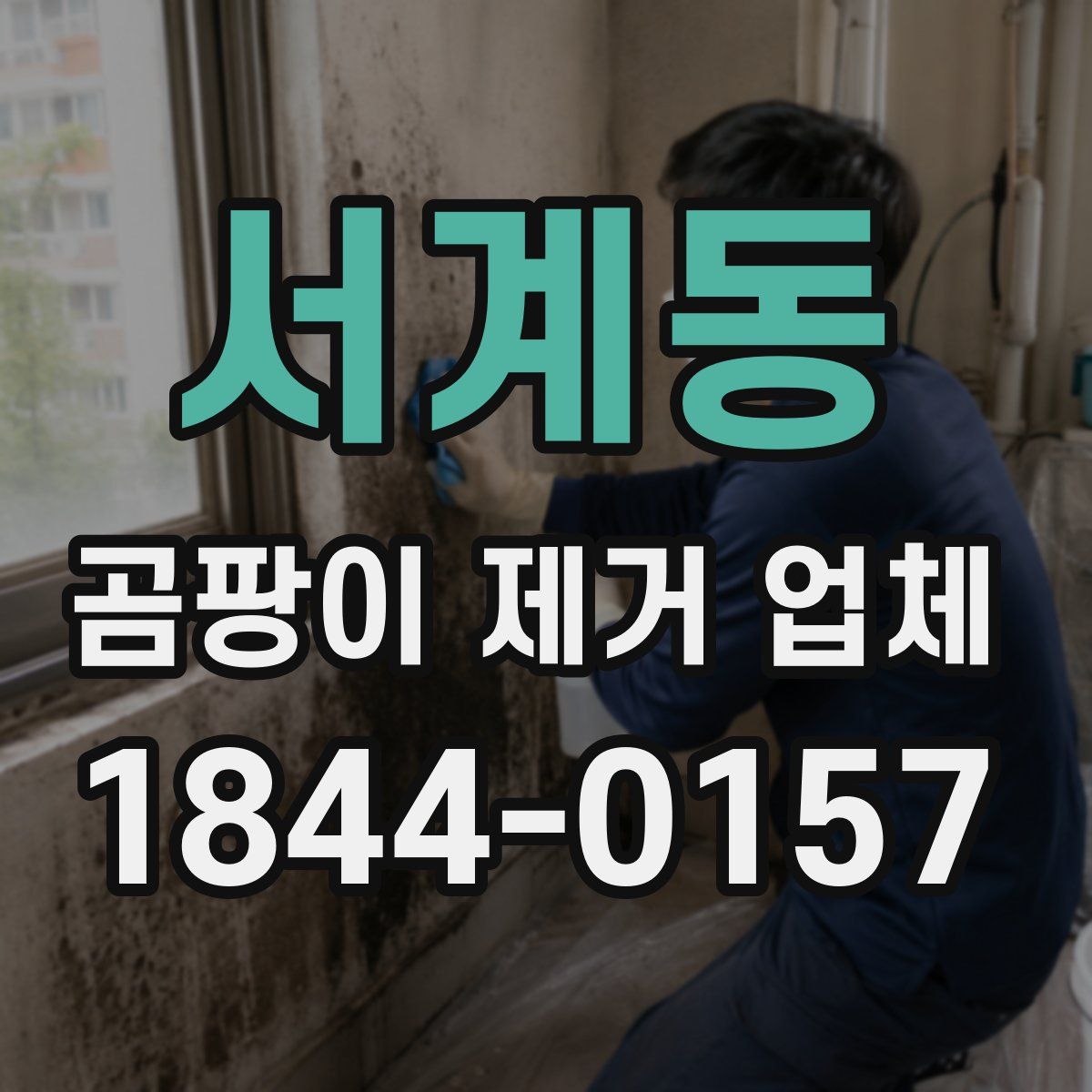 서계동 곰팡이 제거 업체