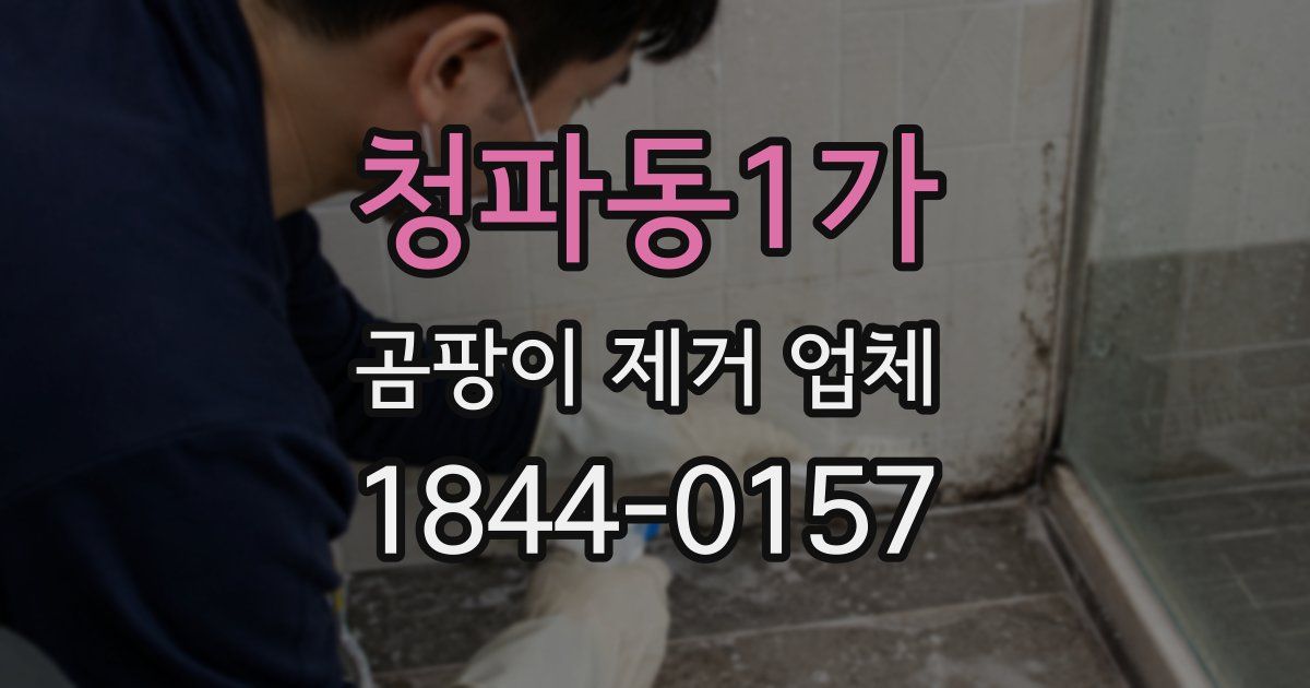 청파동1가 곰팡이 제거 업체