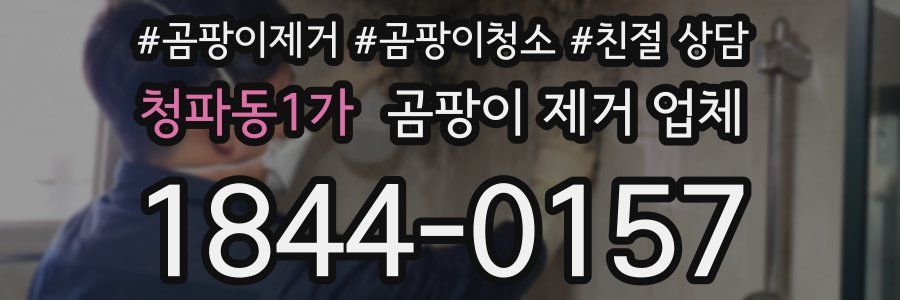 청파동1가 곰팡이 제거 업체