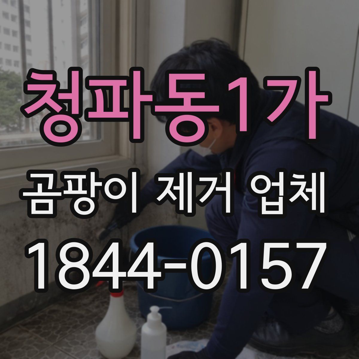 청파동1가 곰팡이 제거 업체
