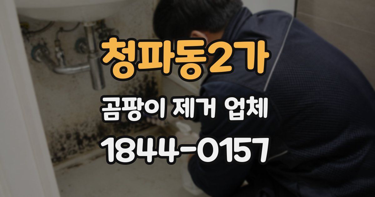 청파동2가 곰팡이 제거 업체