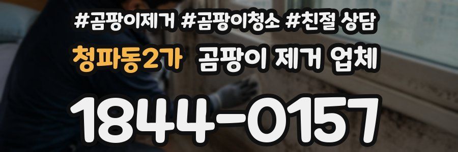 청파동2가 곰팡이 제거 업체