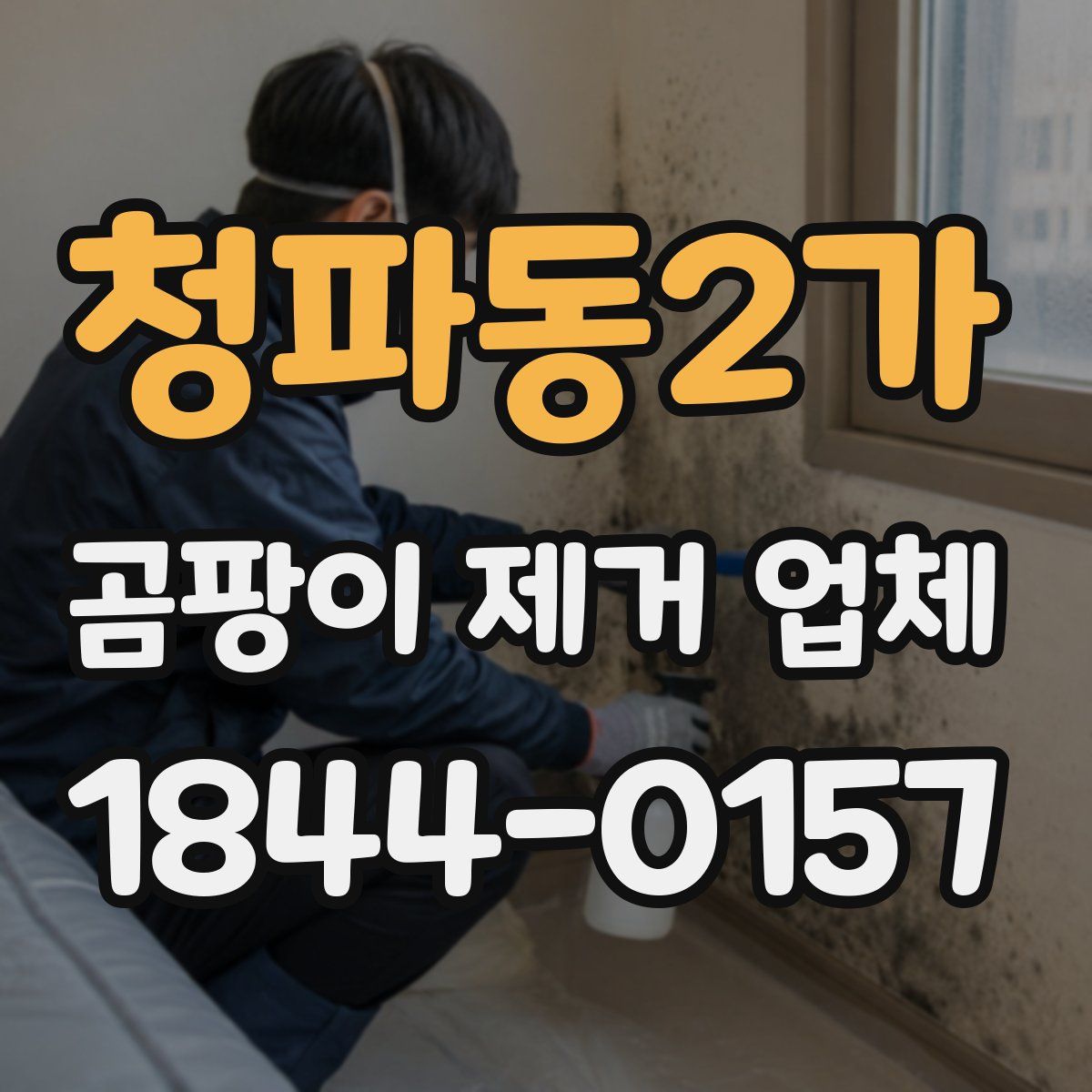 청파동2가 곰팡이 제거 업체